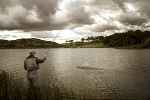 Coldingham Loch