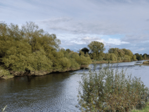 Exeter & District Angling Association
