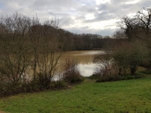 Horsham & District Angling Association