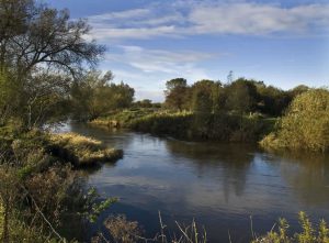 Burton Mutual AA & Clubmate