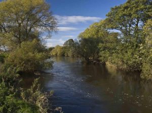 Burton Mutual AA & Clubmate