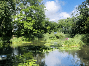 Swallowfield Fishing Club and Clubmate