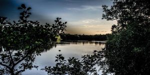 Southlake Angling Society & Clubmate