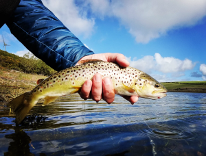 Barrow Angling Society and Clubmate