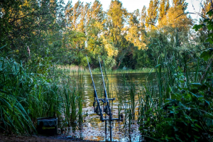 Fishing rods on a dock at SWS Fisheries