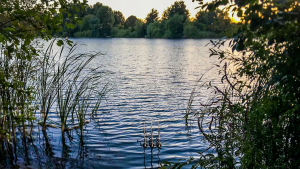 Set of three fishing rods set up at SWS Fisheries.